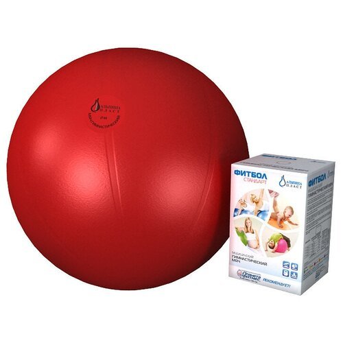 Мяч гимнастический 'Фитбол стандарт', 55 см, красный