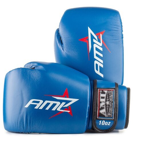 Перчатки боксерские AML Star 2 синие (10 унций)
