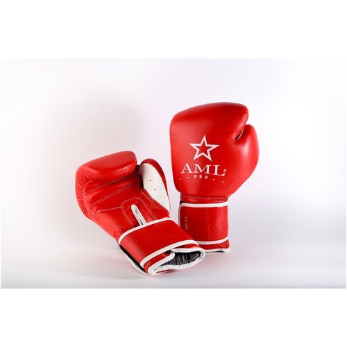 Перчатки боксерские AML PRO кожа, красные (10 унций)
