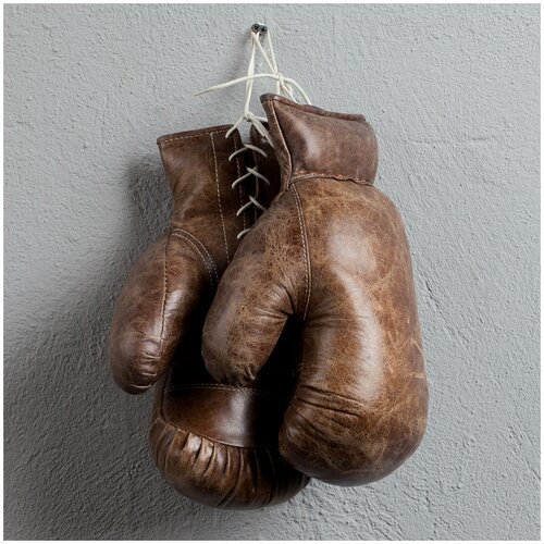 Кожаные боксёрские перчатки Sport Boxing Gloves Pair, Vintage Cigar