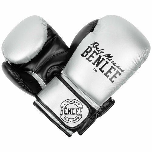 Боксерские перчатки BENLEE CARLOS