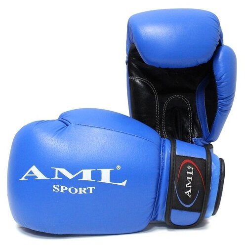 Боксерские перчатки AML Sport - синие, 10 унций