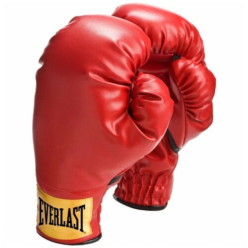 Перчатки Everlast Boxing красный